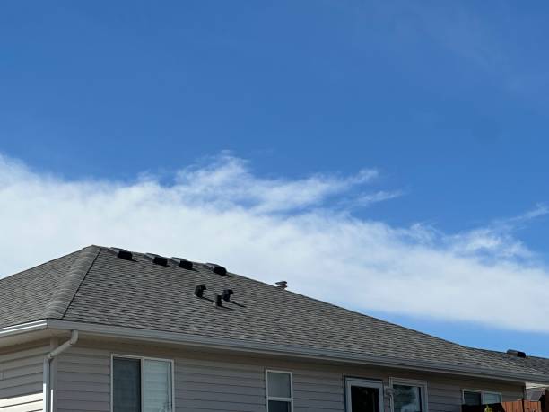 Best Roof Ventilation Installation  in Birdsboro, PA